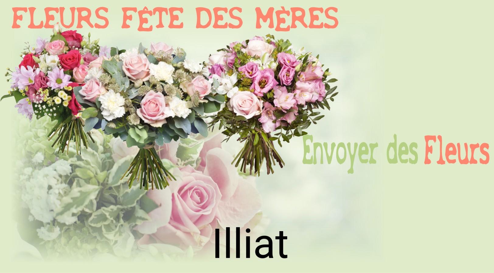 Bouquet de Fête des Mères livré à Illiat
